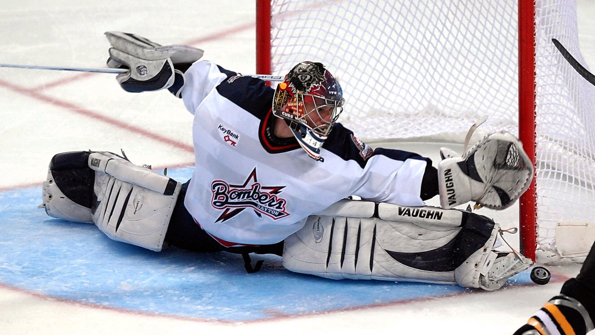 “南非羚羊队的宝贵资产：诺克·达维德·彼得森的非凡天赋”